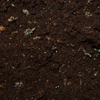 EXO PLANET Tropical Substrate Soil - podłoże tropikalne do terrarium 5L