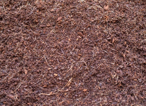 EXO PLANET Spider Substrate - gotowe podłoże dla pająków 5L