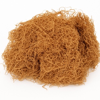 EXO PLANET Curly Moss - 250g