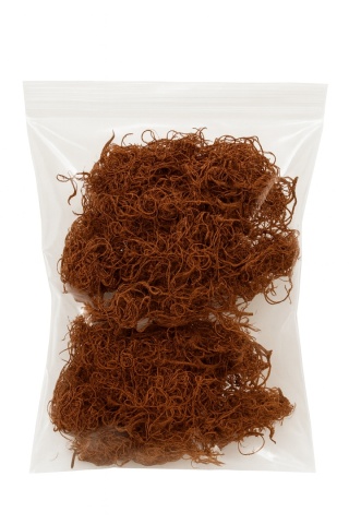 EXO PLANET Curly Moss - 40g