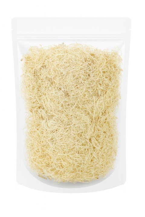 EXO PLANET Curly Moss bielony - 40g