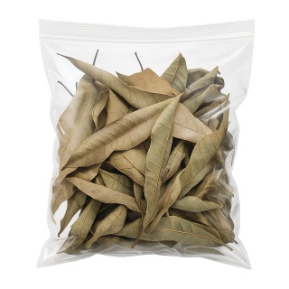 EXO PLANET Mango Leaves – liście mango 40g