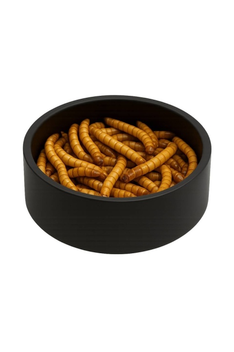 EXO PLANET Miska plastikowa czarna średnia L /75mm