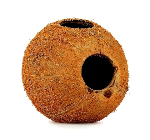 EXO PLANET Skorupa kokosa naturalna - naturalna kryjówka