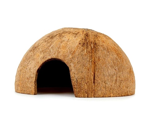 EXO PLANET Skorupa kokosa połówka szczotkowana - naturalna kryjówka