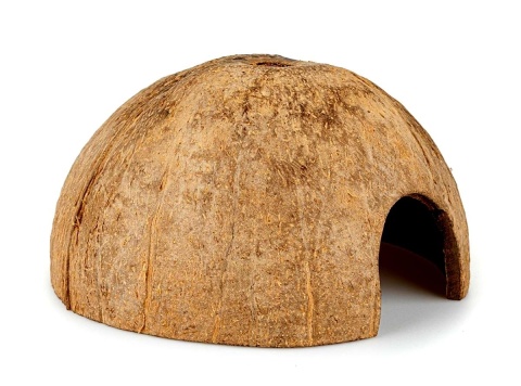 EXO PLANET Skorupa kokosa połówka szczotkowana - naturalna kryjówka