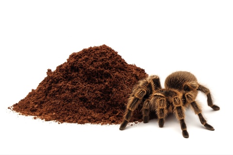 EXO PLANET Spider Substrate - gotowe podłoże dla pająków 2L EXO PLANET Spider Substrate - gotowe podłoże dla pająków 2L