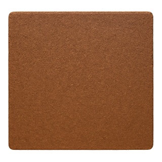 Torf kokosowy - brykiet 2kg