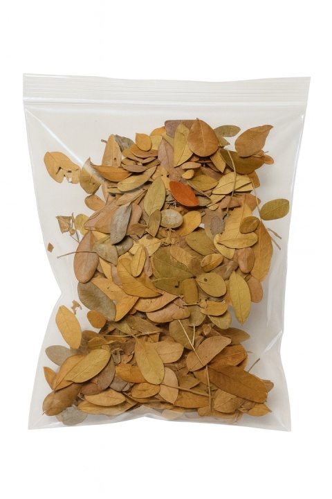 EXO PLANET Tropical Leaves - liście tropikalne 100g