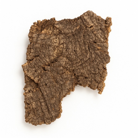 Płat korka rozmiar XL (25-35cm)