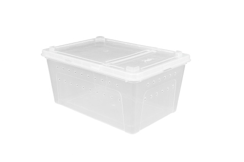 Pojemnik hodowlany Breeding Box 26 cm