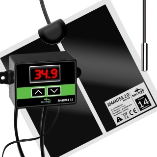 Terrario Amantea 2.0 20W - mata grzewcza z termostatem