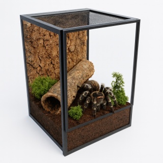 Terrarium szklane ramkowe 20x20x25cm gilotyna - czarne